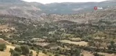 Gercüş'te sumak hasadı