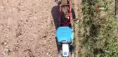 Yüksek verim ve kaliteye rağmen patates üreticileri tarla satış fiyatını düşük buldu