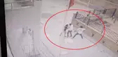 Anaokulu öğretmenine saldıran kardeşler serbest bırakıldı