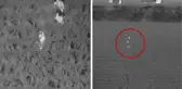ABD'de kaybolan 3 yaşındaki çocuk, termal İHA kameralarıyla bulundu