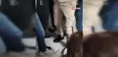 Oğluna rapor vermeyen doktoru feci şekilde dövdü
