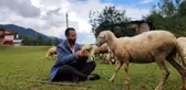 Yurt dışına gitti, 2 üniversite bitirdi! Tahsilli çoban hedeflerinden vazgeçmiyor hem koyun otlatıyor hem sınava hazırlanıyor