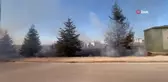 Edirne'de Yangında Kurtarılan Kaplumbağaya İtfaiyeden Can Suyu
