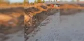 Kızıl Geyik Salda Gölü'nde Vatandaşların İlgi Odağı Oldu