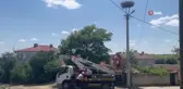 Termal Kameralı Dronlarla Leylek Yuva Bakımı Başlatıldı