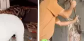 Açık arttırmadan satın aldığı devasa kasanın içinden çıkanlara inanamadı 