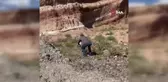 Patnos'ta Zehirli Yılan Paniği