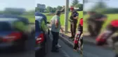 Bursa'da Yavru Kedi Kurtarıldı, Sahiplenildi