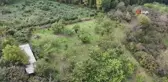 Gal Arısına Dayanıklı Kestane Hasadı Başladı