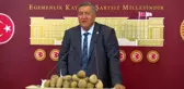 CHP'li Gürer: Kışlık Patatesler Kamu Eliyle Alınmalı
