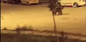 Sarıkamış'ta Boz Ayılar Sokaklarda Geziyor