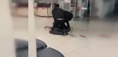 Ankara'da Hastanede Kavga: İki Grup Tekrar Karşılaştı