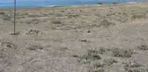 Burdur Gölü İçin Farkındalık Etkinliği Düzenlendi