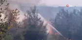 Osmaniye'de Yangın Zeytin Ağaçlarına Sıçradı