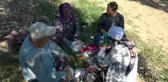 Zeytin Üreticisi İsyan Etti: 