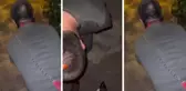 Bu kadarı 'Pes artık' dedirtti, tasma takıp emirler yağdırdı