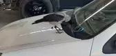 Karga Anahtarı Çaldı, Çalışanları 2 Saat Peşinden Koşturdu