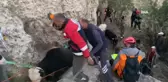 Siirt'te Mahsur Kalan 7 İnek Kurtarıldı