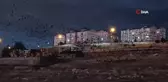 Van'da Yüzlerce Karga Gökyüzünü Kapladı