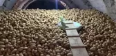 Ömer Fethi Gürer'den, Bakan Yumaklı'ya: 