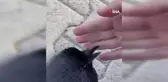 Karga ile Dostluk: Üniversite Öğrencisinin Şaşırtan Anları