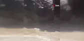 Hakkari'de Nesli Tükenmekte Olan Su Samurları Görüntülendi