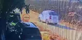Gözünün önündeki köpeği acımadan ezip geçti