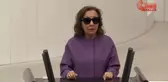 TBMM Genel Kurulu... Serap Yazıcı Özbudun: 