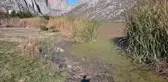 Çekerek Irmağı'nda Kirlilik