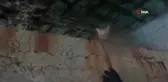Sahil Güvenlik, Mahsur Kalan Kediyi Kurtardı