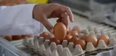 Kısa süre içinde yumurtaya gelen zam enflasyon oranını da solladı