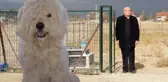 Ölen köpeği için arsa satın alıp, mezar yaptırdı