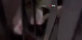 Arnavutköy'de Eşi Tarafından Bıçaklanan Kadın Ağır Yaralandı