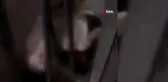 Arnavutköy'de Eşinin Bıçaklı Saldırısına Uğrayan Kadın Ağır Yaralı