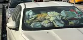 Evsiz Adamın Çöp Dolu Aracı Mahalleyi Rahatsız Ediyor