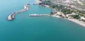Akdeniz Fokları Türkiye Kıyılarında Yavru Vermeye Devam Ediyor