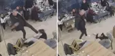 CHP'li Meclis Üyesi gazeteciyi feci şekilde dövdü