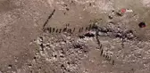 Öğretmenler Zernaki Tepesini gezdi
