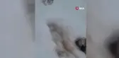 Mahsur Kalan Çoban, Vali Çiçek'e Teşekkür Etti