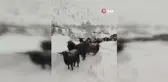 Artvin'de Besicinin Zorlu Kar Yolculuğu
