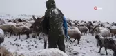 Koyun Sürüleri Karın Mağduru Oldu