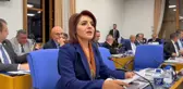 CHP'li Kış, Mersin'in Ulaşım Projelerindeki İhmalini Eleştirdi