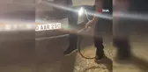 Otomobilin çarptığı tilki, tampon panjuruna sıkıştı
