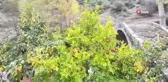 Sonbaharın Güzellikleri Balıkesir'de Dron ile Görüntülendi