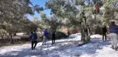 Öğrenciler Zeytin Hasadı Yaparak Eğitim Sürecini Gerçekleştirdi