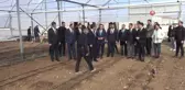 Şırnak'ta Modern Serada Tropikal Meyveler Ekildi