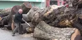 Ceviz Ağaçlarından Sanat Eserleri Yaratıyorlar