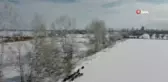 Dronla Koyun Sürüsünü Otlatan Çoban, Domuz Sürüsünü Havadan Görüntüledi