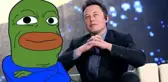 PEPE coin Musk rüzgarıyla hareketlendi! Yükseliş geçici mi kalıcı mı?