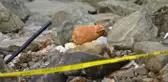 Sahil kenarında bulundu, ekipler kimseyi yaklaştırmadı